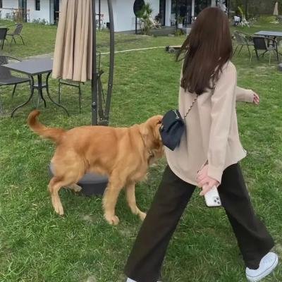 摩斯探长第二季